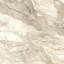 Persia Beige керамогранит 600х600 полированный 11