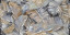 Spector керамогранит 600х1200 GFU60120SPR74R 2 Spector керамогранит 600х1200 GFU60120SPR74R 2
