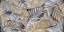 Spector керамогранит 600х1200 GFU60120SPR74R 4 Spector керамогранит 600х1200 GFU60120SPR74R 4